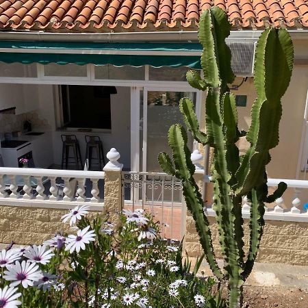 La Siesta Appartamento Benidorm Esterno foto